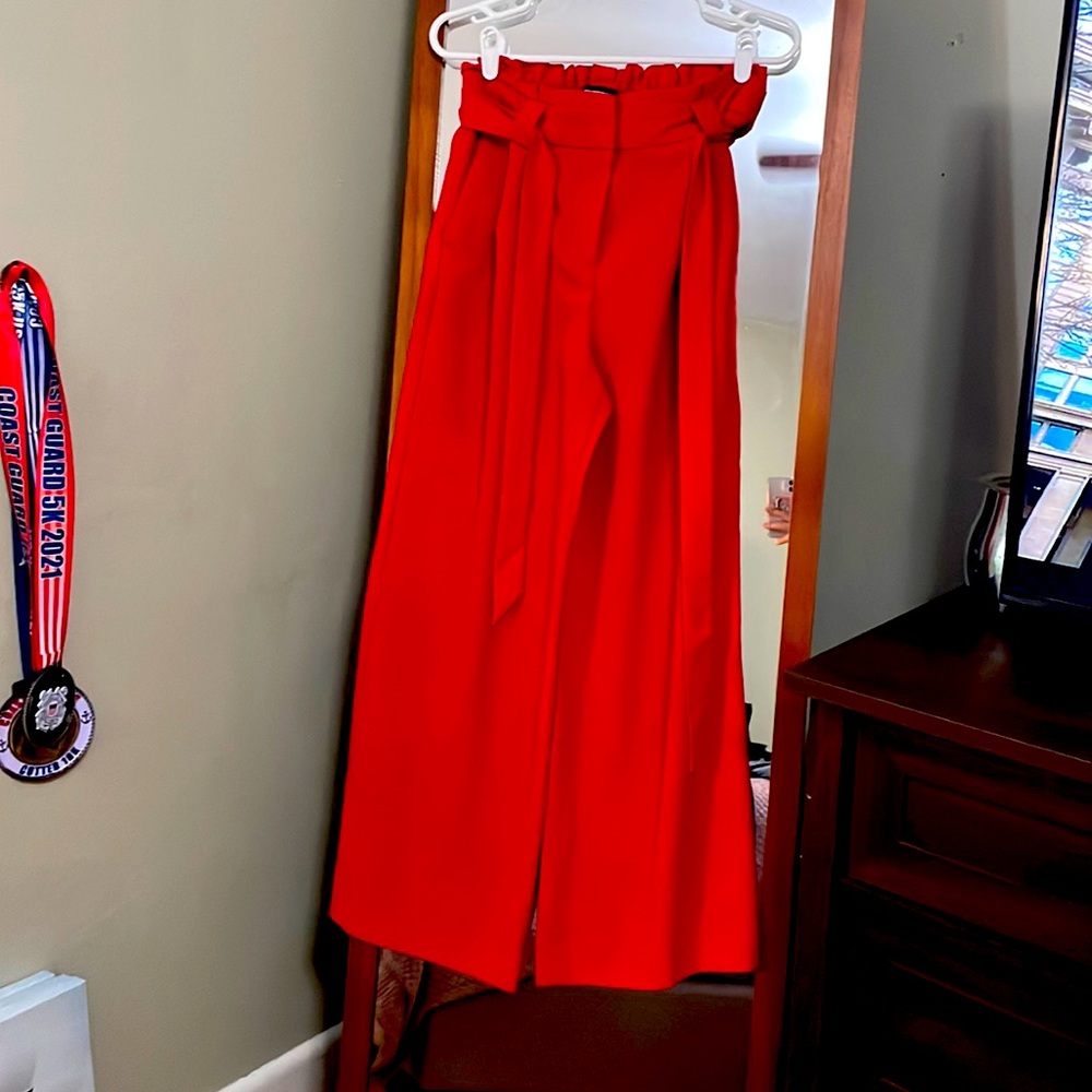 Express Dress Pants